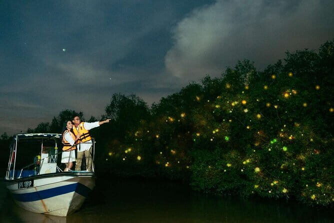 Kuala Selangor Fireflies Tour with Grand Royal Palace and Dinner - Introduction
