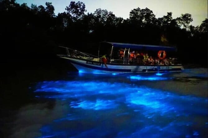 Kuala Selangor Fireflies Tour with Grand Royal Palace and Dinner - FAQs