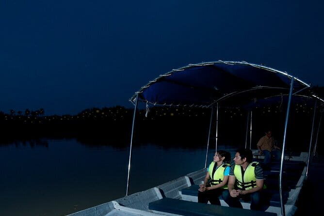 Kuala Selangor Firefly Blinkings Private Tour with Seafood Dinner - A Glimpse into the Kuala Selangor Firefly and Wildlife Tour