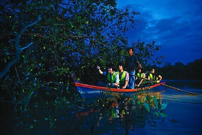 Kuala Selangor Wildlife & Fireflies Night Tour with Dinner - The Journey Starts with Comfort and Convenience