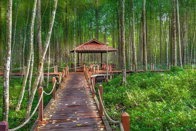 Kuala Sepetang Mangrove & Fireflies Tour with Dinner - A Detailed Look at the Kuala Sepetang Mangrove & Fireflies Tour