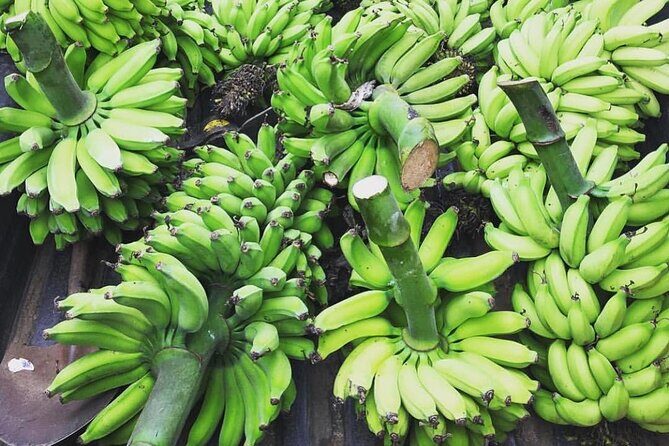 Kualoa Ranch - Best of Kualoa Experience Package - Final Thoughts