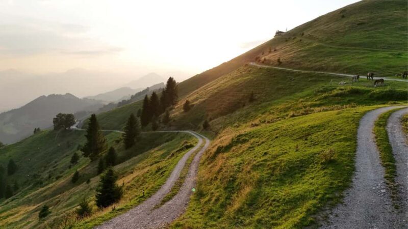 Kufstein: Buggy Alpine Tour with guide, drinks, and drone photos - Key Points