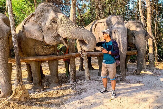 Kulen Elephant Forest by private tour - An In-Depth Look into the Phnom Kulen & Elephant Forest Tour