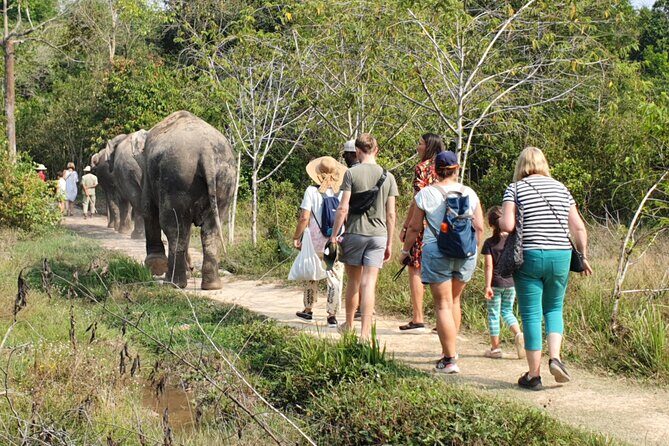 Kulen Elephant Forest by private tour - Transition to the Elephant Forest