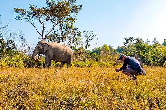 Kulen Elephant Forest by private tour - Authentic Insights from Tour Reviewers