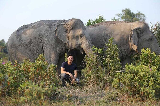 Kulen Elephant Forest & Kampong Phluk by Private Tour - The Practicalities and Value