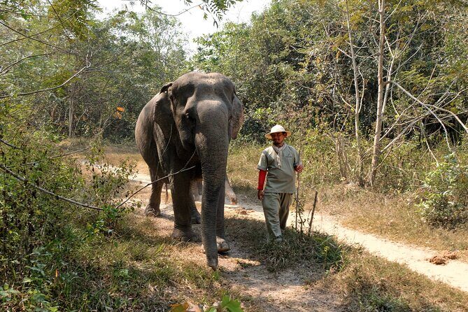 Kulen Elephant Forest & Tonlesap Lake - Key Points