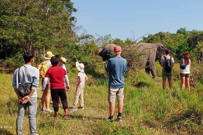 Kulen Elephant Forest & Tonlesap Lake - Final Thoughts