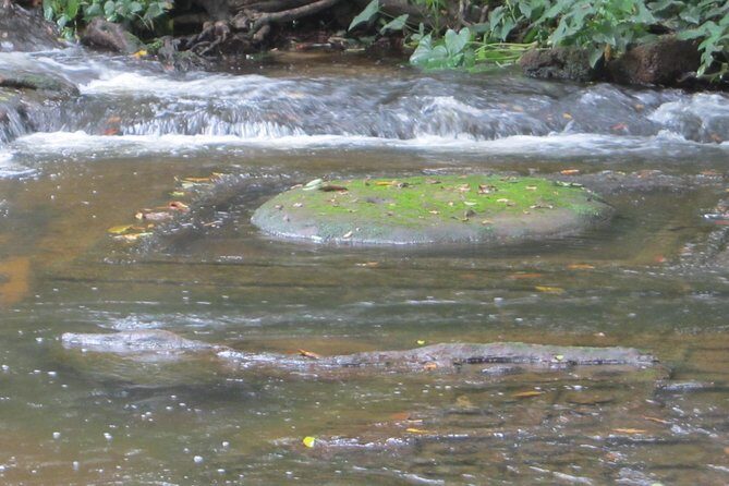 Kulen Mountain, Killing Fields and War Museum Tour - Exploring the Natural Beauty of Phnom Kulen National Park
