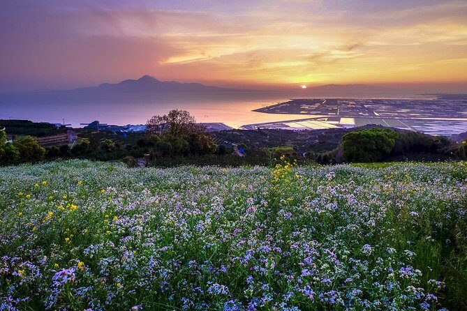Kumamoto Private Customizable Full Day Tour - Who Should Consider This Tour?