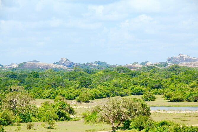 Kumana National Park Full Day Safari from Arugam Bay - An In-Depth Look at the Kumana National Park Full Day Safari