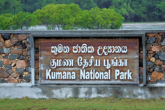 Kumana National Park Safari | from Arugam Bay - Practical Details and What You’ll Receive