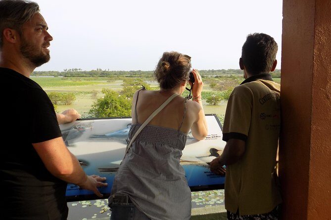 Kumana National Park Wildlife Safari - Who Is This Tour Best For?