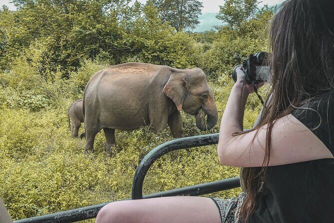 Kumana Safari Drive from Arugam Bay - The Experience Provider and Practicalities