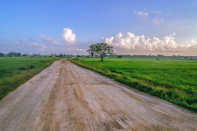Kumana Safari Drive from Arugam Bay - Frequently Asked Questions (FAQs)
