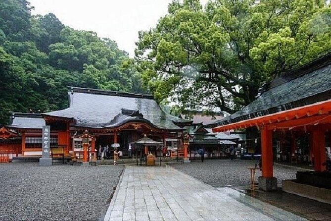 Kumano Kodo Half Day Daimonzaka and Nachi Taisha Tour - Practical Details and Logistics