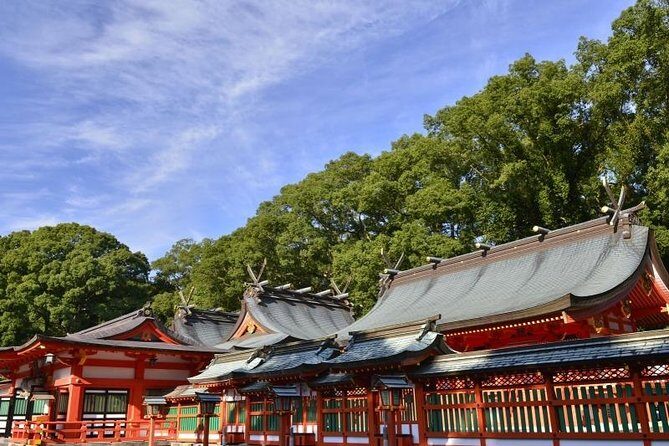 Kumano Kodo Pilgrimage Full-Day Private Trip with Government Licensed Guide - In-Depth Look at the Itinerary