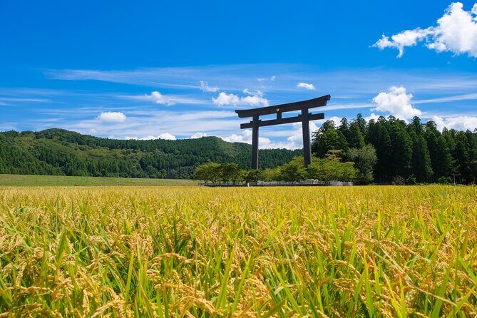 Kumano Kodo Pilgrimage Tour with Licensed Guide & Vehicle - Key Points