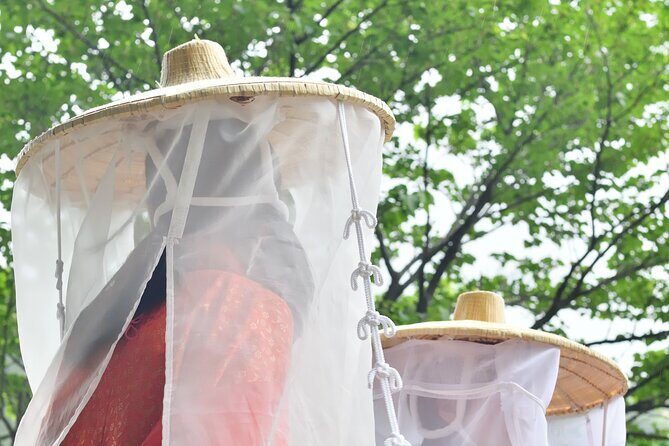 Kumano Kodo Pilgrimage Tour with Licensed Guide & Vehicle - What Makes This Tour Stand Out?