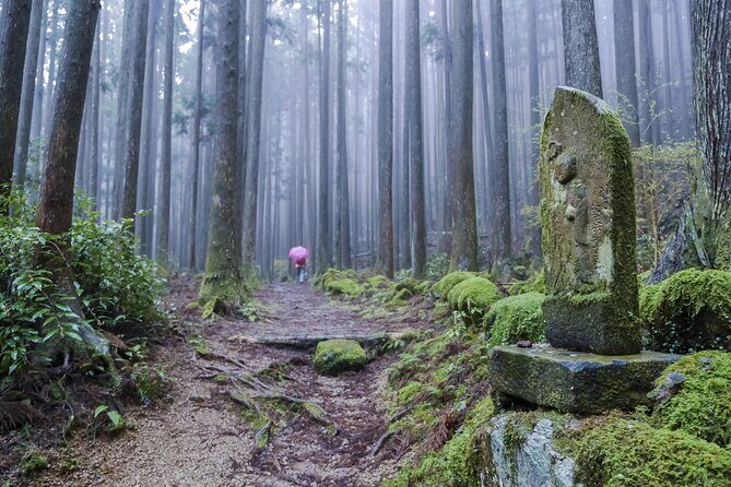 Kumano Kodo Pilgrimage Tour with Licensed Guide & Vehicle - Practical Details and Tips