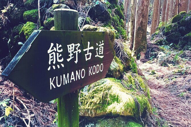 Kumano Kodo Pilgrimage Tour with Licensed Guide & Vehicle - The Sum Up: Who Should Consider This Tour?
