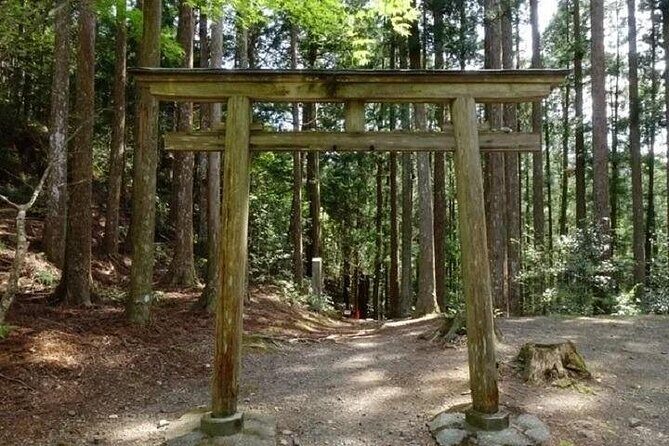 Kumanokodo 1 Day Walking Tour - Exploring the Kumanokodo: A 1-Day Walking Tour Through Japan’s Sacred Trails