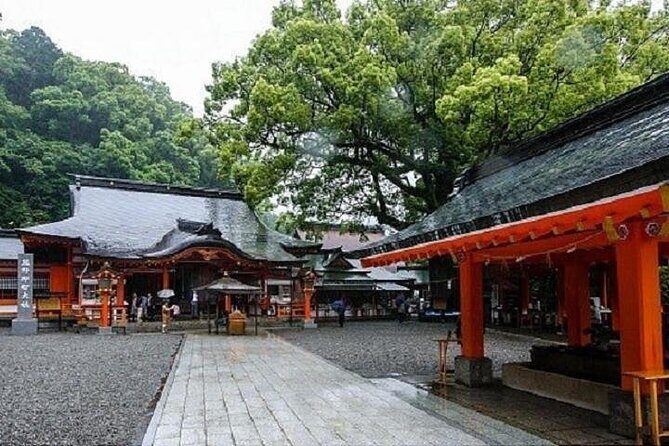 Kumanokodo 1 Day Walking Tour - Key Points