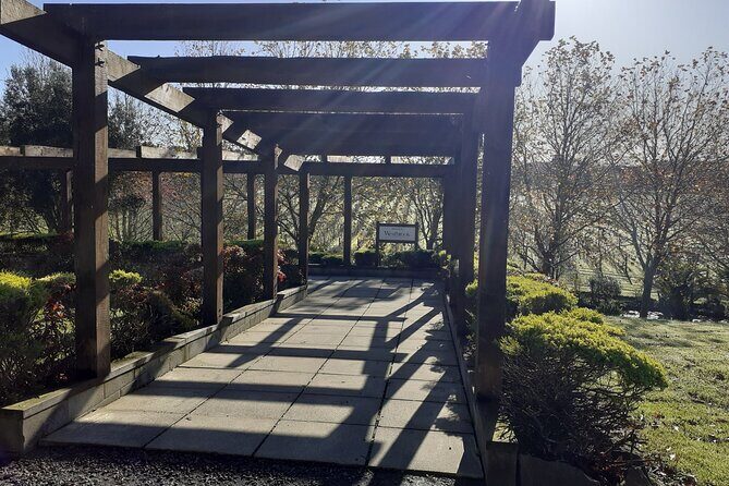 Kumeu Winery Boutique Tour with Gourmet Lunch from Auckland - The Itinerary in Detail