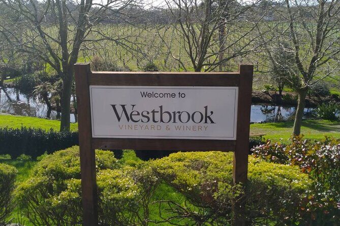 Kumeu Winery Boutique Tour with Gourmet Lunch from Auckland - Who Will Love This Tour?