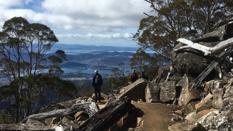 Kunanyi & Mt Wellington Explorer Bus: One-Way Bus Pass - The Sum Up