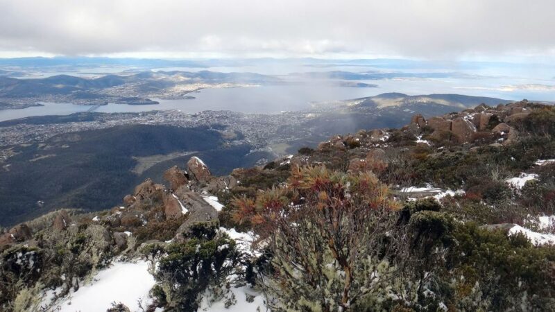 Kunanyi & Mt Wellington Explorer Bus: One-Way Bus Pass - FAQ