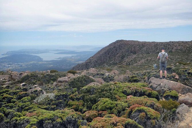 kunanyi/Mt Wellington Explorer Bus- Return Tour (2.5 hours) - What Travelers Say