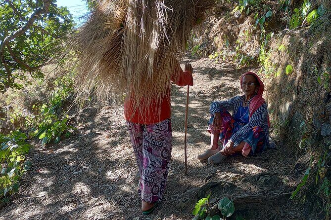 Kunjapuri Yoga Day Hike - How the Tour Unfolds: A Step-by-Step Look
