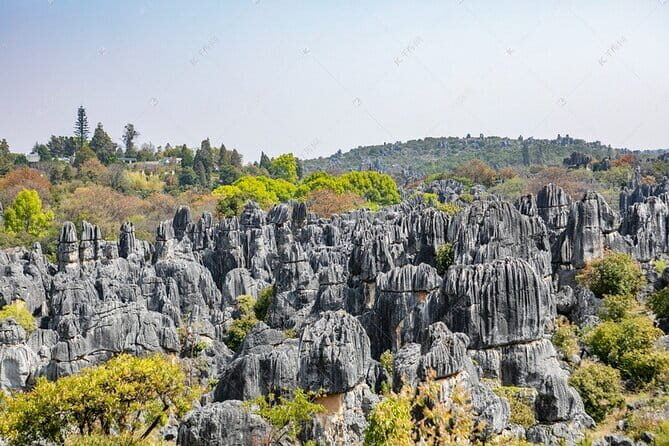 Kunming Dali and Lijiang 4-day Private Tour from SHANGHAI - Who Should Consider This Tour?