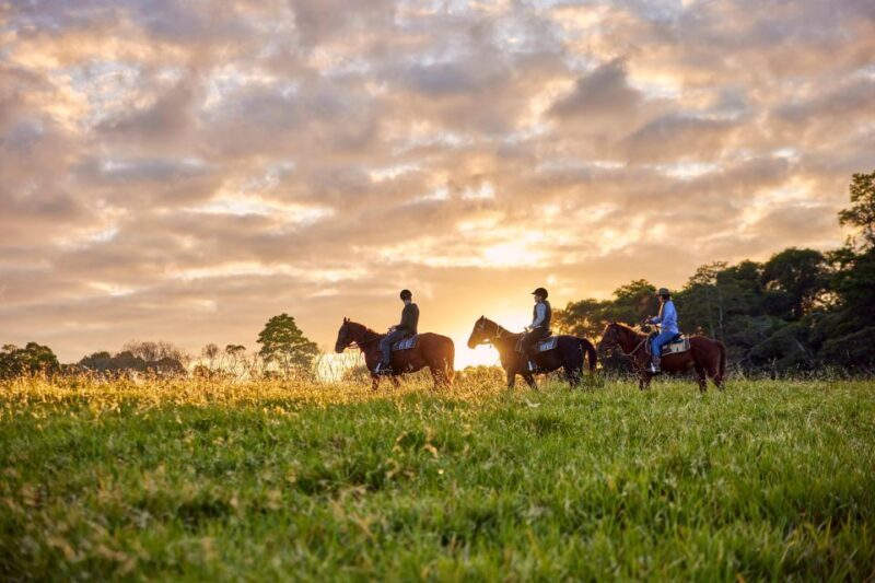 Kuranda: 60 minute Guided Horse Trail Ride & Petting Farm - FAQ