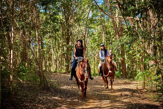 Kuranda 60 minute Horse Trail Ride and Petting Farm - Key Points