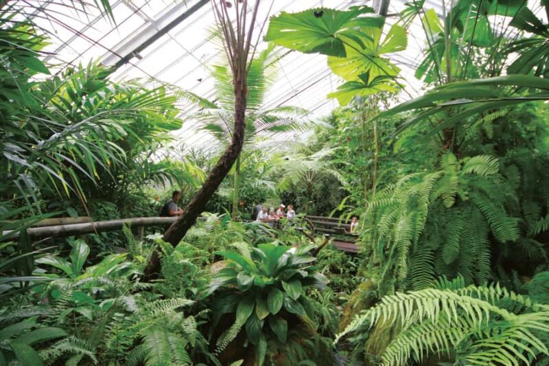 Kuranda: Australian Butterfly Sanctuary - What to Expect at the Australian Butterfly Sanctuary