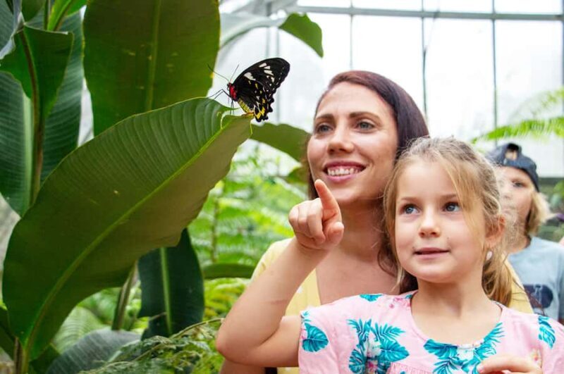 Kuranda: Australian Butterfly Sanctuary - Transport and Accessibility