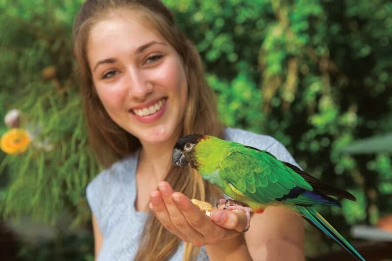 Kuranda: Birdworld Entry Ticket - Introduction