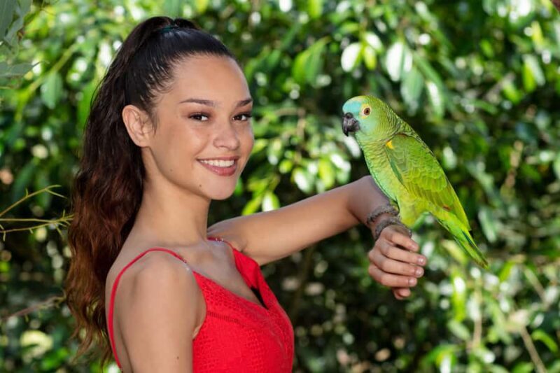 Kuranda: Birdworld Entry Ticket - Key Points