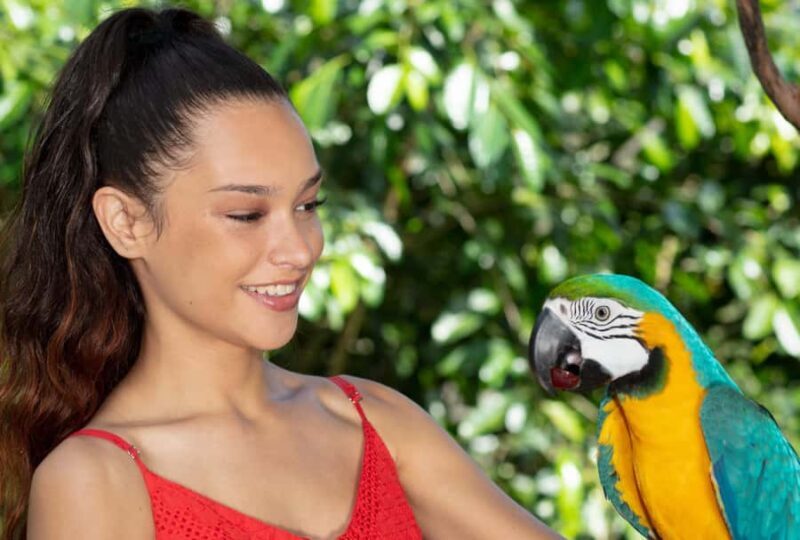 Kuranda by Design, a VIP package experience - Key Points