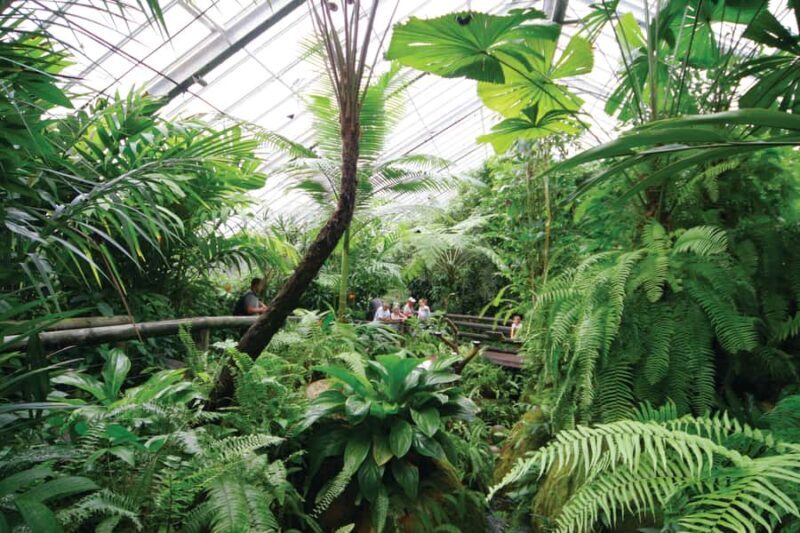 Kuranda, Cairns & Port Douglas Multi-Park Package - FAQ