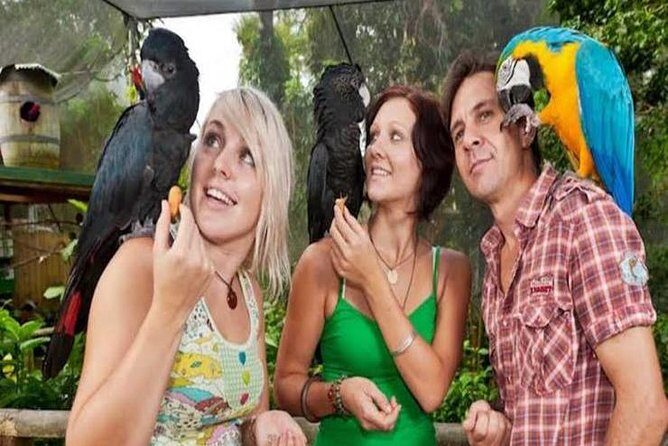 Kuranda Day Tour, TKS-3 Wildlife Gold 930 - The Value Proposition: Is It Worth It?