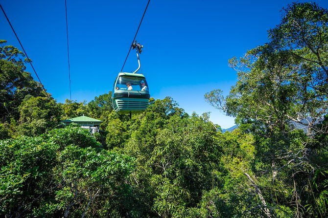 Kuranda Day Tour, TKS-RFS CLASSIC GOLD PLUS 0930 - An In-Depth Look at the Kuranda Day Tour