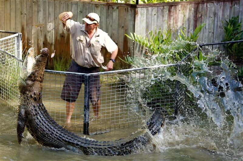 Kuranda & Hartley's Crocodile Adventures - An Overview of the Experience
