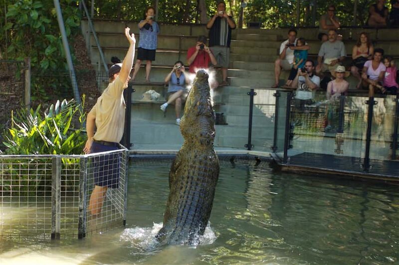 Kuranda & Hartley's Crocodile Adventures - Practical Tips for Travelers