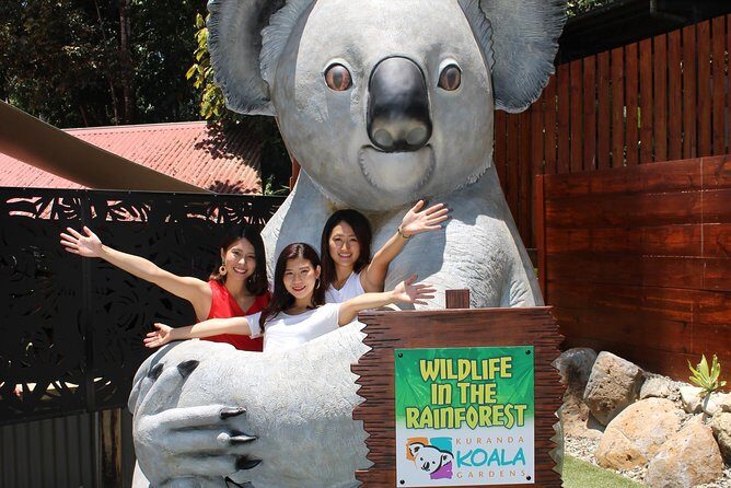 Kuranda Koala Gardens and Birdworld Admission Tickets - An In-Depth Look at the Experience