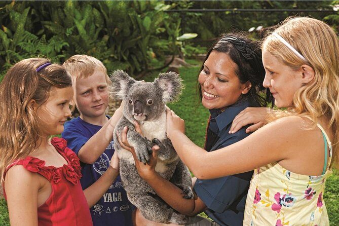 Kuranda Koala Gardens General Entry Ticket - Frequently Asked Questions