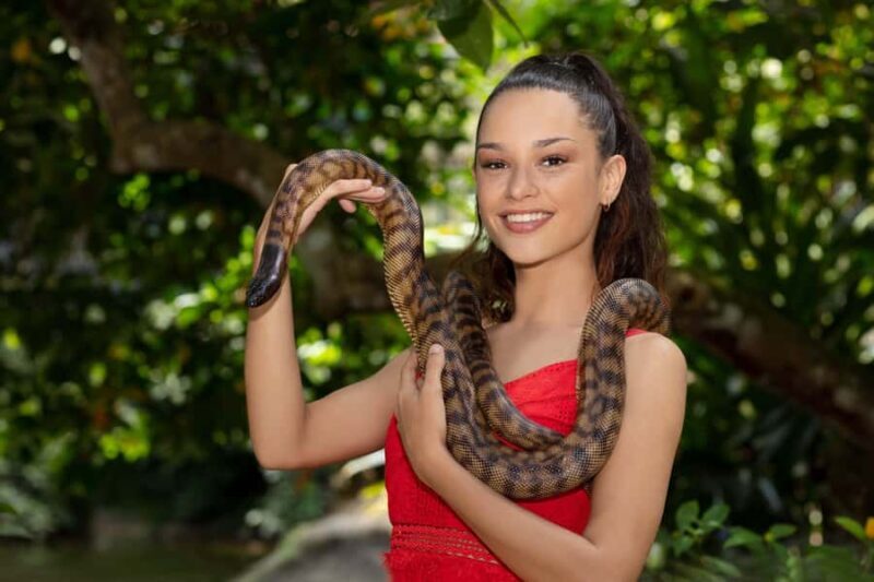 Kuranda Koala Gardens Park Entry - Introduction